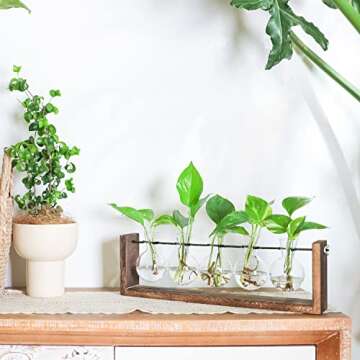 Ivolador Plant Terrarium, Wall Hanging Glass Planter with Wooden Stand Tabletop Propagation Station with Metal Swivel Holder 3 Bulb Containers for Hydroponics Plants Home Office Decor