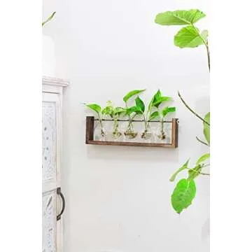 Ivolador Plant Terrarium, Wall Hanging Glass Planter with Wooden Stand Tabletop Propagation Station with Metal Swivel Holder 3 Bulb Containers for Hydroponics Plants Home Office Decor