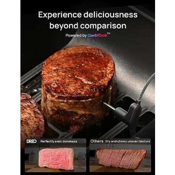 Dreo ChefMaker Combi Fryer, Cook like a pro with just the press of a button, Smart Air Fryer Cooker with Cook probe, Water Atomizer, 3 professional cooking modes, 6 QT