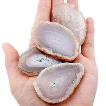Agate Slices Set of 10 for Home Décor and Crafting