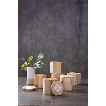 Paddywax Eucalyptus & Sandalwood Candle in Mango Wood