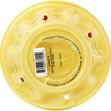 NatureSweet Cherubs Grape Tomatoes - Sweet & Nutritious