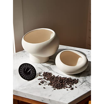 Fondra Self-Watering Planter for 6" Plants - Modern Ceramic Pot