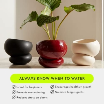 Fondra Self-Watering Planter for 6" Plants - Modern Ceramic Pot