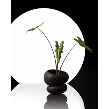 Fondra Self-Watering Planter for 6" Plants - Modern Ceramic Pot