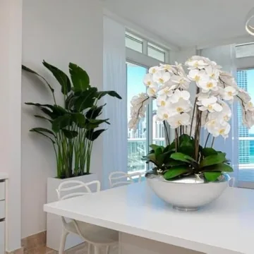 CFA Design Group Avenue Bowl with Beautiful Orchids