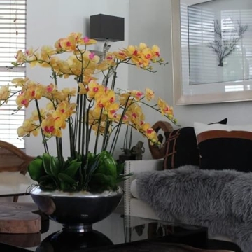 CFA Design Group Avenue Bowl with Beautiful Orchids