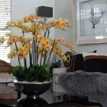 CFA Design Group Avenue Bowl with Beautiful Orchids