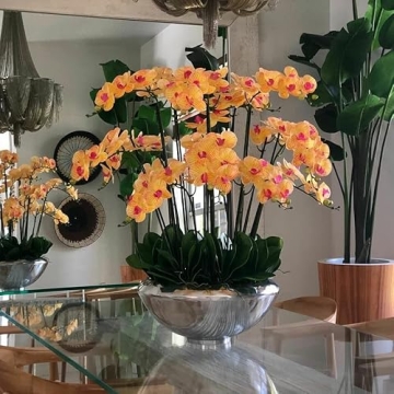 CFA Design Group Avenue Bowl with Beautiful Orchids