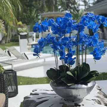 CFA Design Group Avenue Bowl with Beautiful Orchids