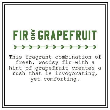 Barr-Co. Fir & Grapefruit Apothecary Candle Set