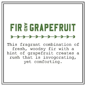 Barr-Co. Fir & Grapefruit Apothecary Candle Set