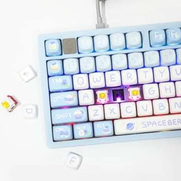 EPOMAKER x LEOBOG Hi75 Compact RGB Gaming Keyboard
