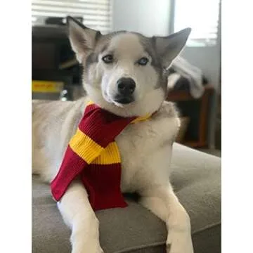 ComfyCamper Red Yellow Striped Scarf Dog Costume - X Large Medium Small French Lab Clothes Cosplay Halloween Costumes, L, Red