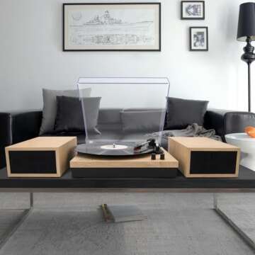 LP&No.1 Wireless Vintage Record Player for Music Lovers