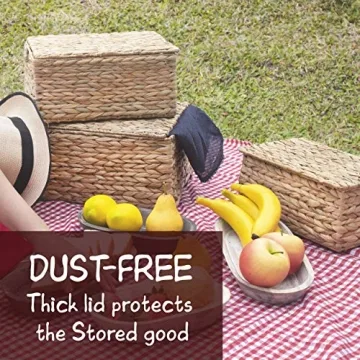 Elegant Set of 3 Handcrafted Nesting Storage Baskets