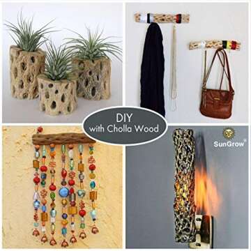 SunGrow Betta Cholla Wood