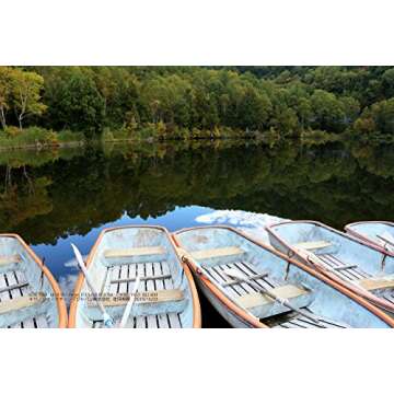 Canon EOS 70D Digital SLR Camera (Body Only) - International Version