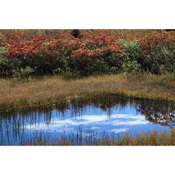 Canon EOS 70D Digital SLR Camera (Body Only) - International Version