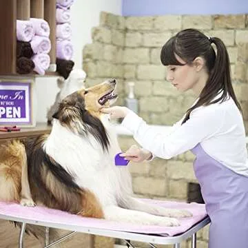 Long Teeth Comb by Hertzko - Closely Spaced Metal Pin for Your Pet’s Coat - 25mm Long Metal Teeth are Great for Long Hair Areas on Dogs and Cats (Long Teeth)