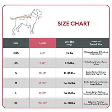 KONG Ultra Durable Padded Comfort Handle Dog Collar (Large, Blue)