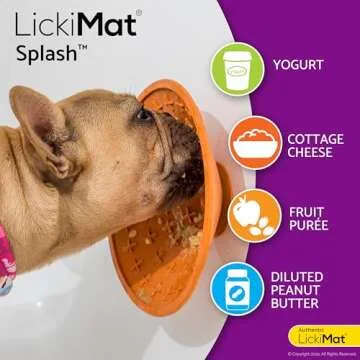 LickiMat Splash Dog Slow Feeder for Mealtime Fun