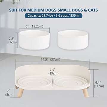 Elevated Dog Food Water Bowl - Raised Dog Bowls with Stand Non Skid - Double Dog Feeding Bowl Set wi...