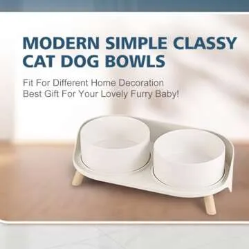 Elevated Dog Bowl Set - Non Skid Ceramic Pet Dishes