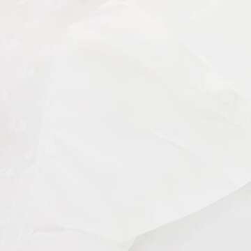 Elegant Women's Chiffon V Neck Maxi Dress for All Occasions