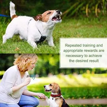 MODUS Ultrasonic Dog Bark Control & Training Device