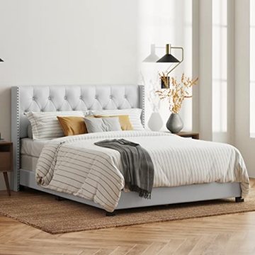 DG Casa Bardy Queen Bed Frame – Luxe & Durable Design