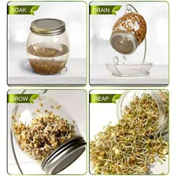 ALCEDIA Premium Sprouting Jar Kit for Fresh Sprouts