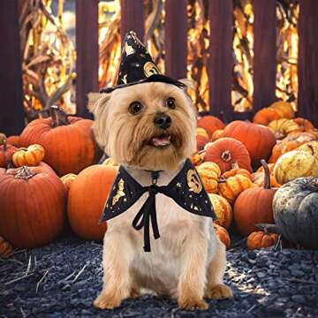 Mogoko Halloween Witch Dog Costumes, Pet Halloween Cosplay Hoodies, Adorable Cat Costume,Animal Fleece Cloak Warm Outfits Clothes for Puppy Small Dogs Cats