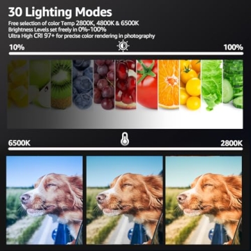 Versatile LED Video Light Kit for Photography & Video