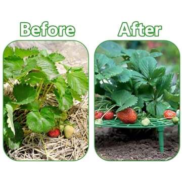 Iceyyyy Strawberry Plant Support for Clean Berries