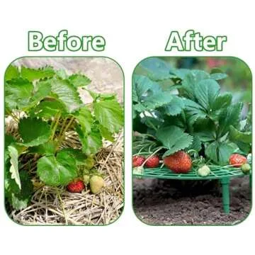 Iceyyyy Strawberry Plant Support for Clean Berries