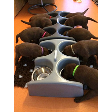 Weanafeeda Mini 6 Bowl Feeder for Small Pets