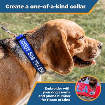 GoTags Personalized Dog Collar, Custom Embroidered with Pet Name and Phone Number in Blue, Black, Pink, Red and Orange, for Boy and Girl Dogs or Cats, Adjustable Sizes, Small, Medium, and Large