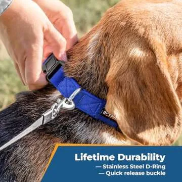 GoTags Personalized Dog Collar, Custom Embroidered with Pet Name and Phone Number in Blue, Black, Pink, Red and Orange, for Boy and Girl Dogs or Cats, Adjustable Sizes, Small, Medium, and Large