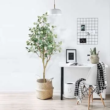 Aveyas 6ft Tall Artificial Eucalyptus Tree in Cemented Plastic Pot, Fake Silver Dollar Leaves Big Plant Large Faux Silk Tree for Indoor Outdoor Living Room Home Modern Wedding Decor (180cm)