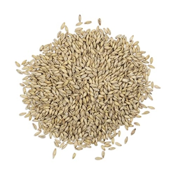 Organic Barley Seeds for Juicing and Brewing at Home