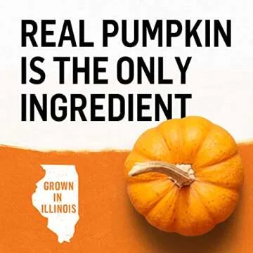 Beyond Purina Natural, Grain Free, Limited Ingredient Dog Food Complement, Mixers+ Digestive Support Pumpkin - (12) 8 oz. Cans