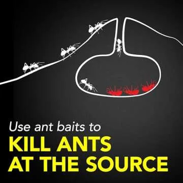 Raid Ant Killer Baits, For Household Use, Kills the Colony, Kills Ants for 3 Months, Child Resistant, 4 Count
