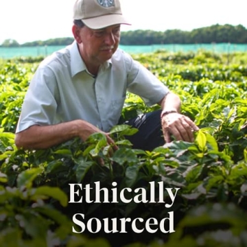 Starbucks Pumpkin Spice Ground Coffee - Aromatic & Flavorful