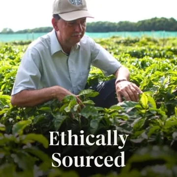 Starbucks Pumpkin Spice Ground Coffee - Aromatic & Flavorful