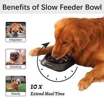 MateeyLife Slow Feeder Dog Bowls 2PCS - Safe and Interactive Feeding Solutions for All Pets