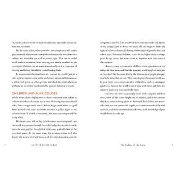 A Little Bit of Auras: An Introduction to Energy Fields (Little Bit Series) (Volume 9)