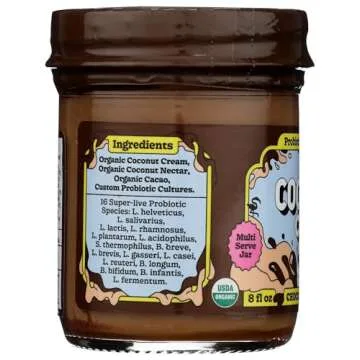 Organic Chocolate Mousse Coconut Yogurt for Health Lovers