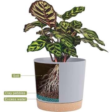 QCQHDU 8 inch Plant Pot, 2 Pack Planters for Indoor Plants with Drainage Holes & Saucer, Outdoor Flower Pots Home Garden Modern Decor