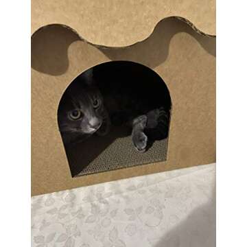 SVY Cozy Cat House with Scratcher Pad, Made of Corrugated Cardboard, Ideal for Cats & Kittens & Small Animals. 16"x12"x13"